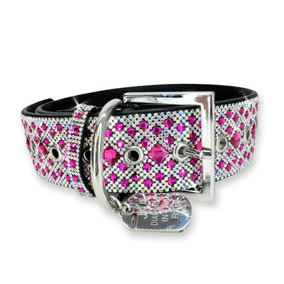 Jacqueline Kent Dog Collar