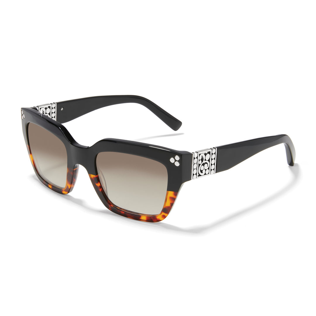 Brighton A13357